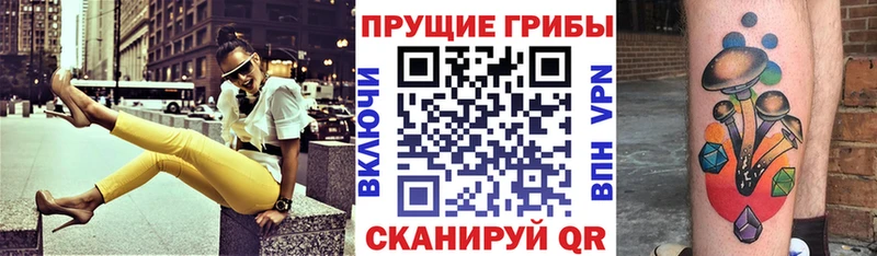 mega ONION  Петровск  Псилоцибиновые грибы Magic Shrooms 